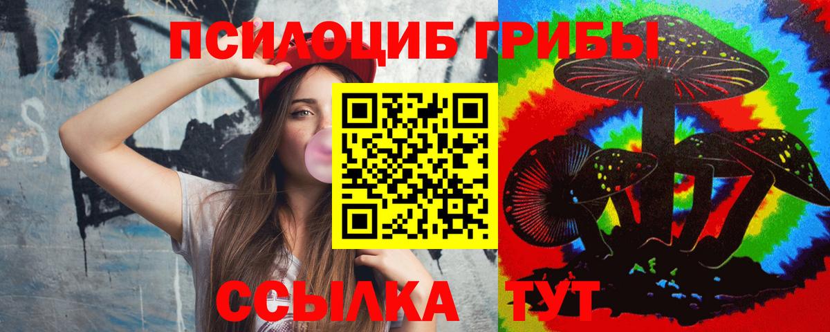 Галлюциногенные грибы мухоморы Будённовск